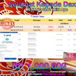 BUKTI JACKPOT SLOT WILD APE TERPERCAYA DI INDONESIA TGL 29-06-2024